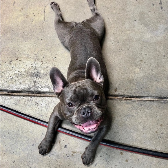 Meet Your Poshers : Kelly and Kevin! - Picture 2 of 8